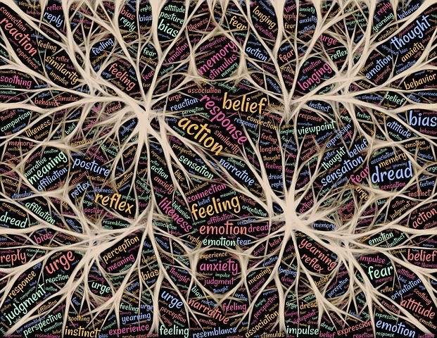 neural pathways